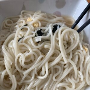 我が家の基本の素うどん